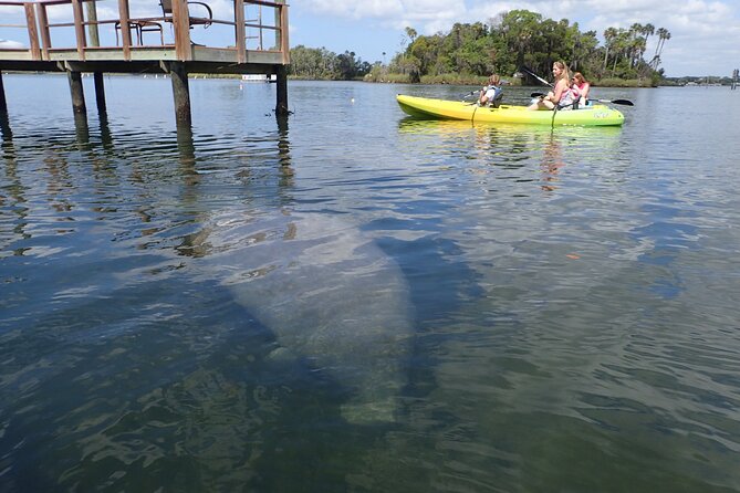 River Cruise Tour with Manatee Viewing - How the small group affects the experience