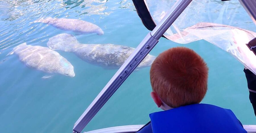 River Cruise with Manatee Viewing - Following the springs through Kings Bay