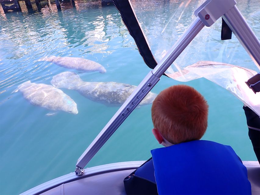 River Cruise with Manatee Viewing - Boarding the pontoon at River Ventures