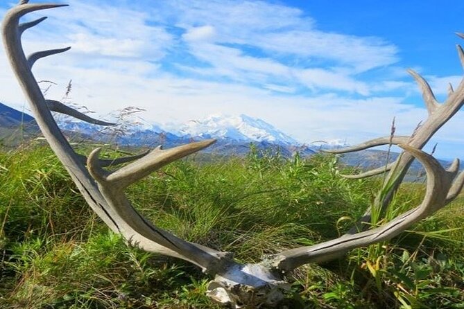 River Rafting in Alaska Wilderness - Clothing, mosquitoes, and the wet exit