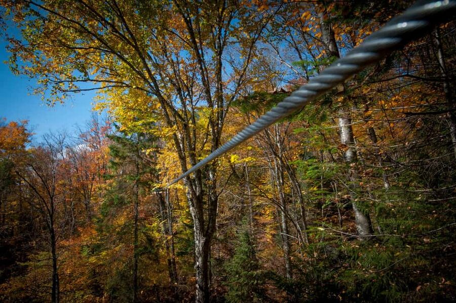 River Ziplines - Nature Tours - Should you book River Ziplines?
