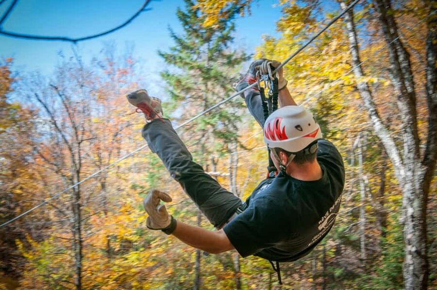 River Ziplines - Nature Tours - What the two-hour outing is like