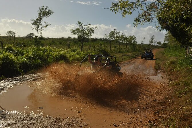 Rivers, Jungle with Buggies Adventure in Bayahibe - Is the $55 price fair?