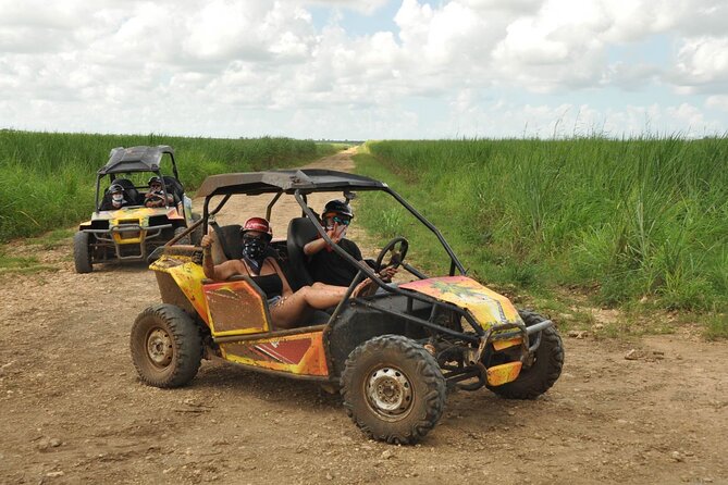 Rivers, Jungle with Buggies Adventure in Bayahibe - Starting with conucos and the sugar cane fields