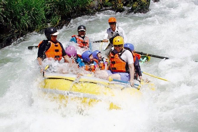 Rogue River Whitewater Rafting- Mid Day - Floating through scenery, wildlife, and warm-weather water