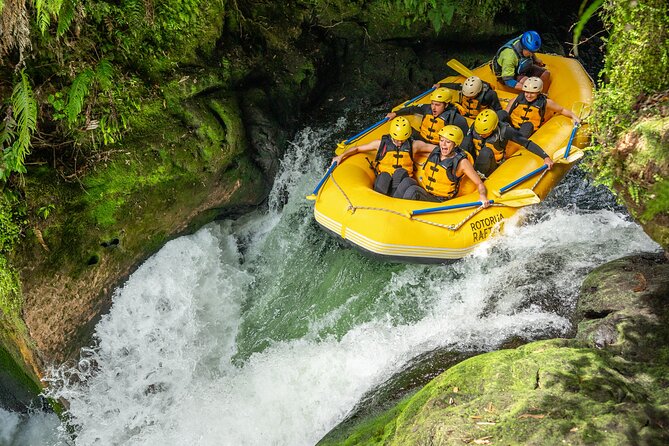 Rotorua Rafting: Kaituna River White Water Rafting & Free Sauna - Timing, groups, and practical planning