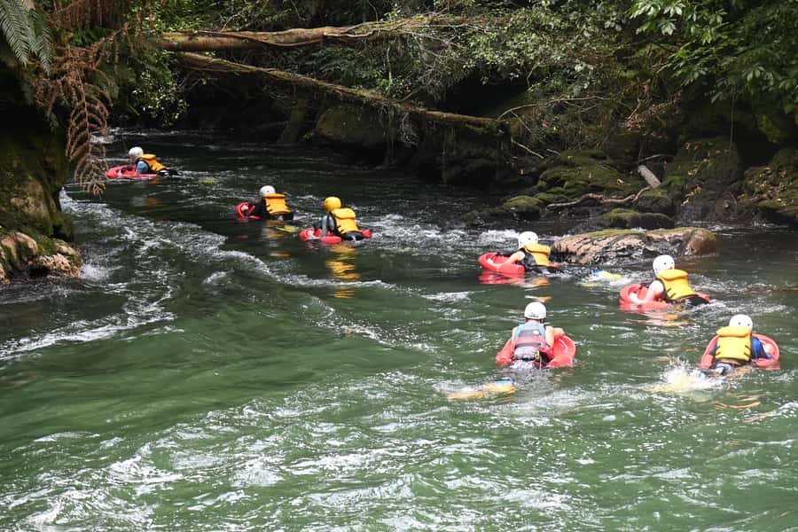Rotorua Sledging: Kaituna White Water River Board Experience - Who should book this Kaituna experience