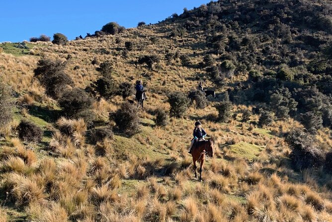 Rubicon Valley Horse Treks - 2 Hour River Trail Horse Trek - Riding from a working sheep farm near Springfield