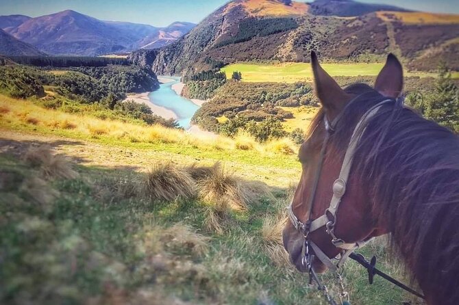 Rubicon Valley Horse Treks - 2 Hour River Trail Horse Trek - Why beginners can enjoy this trek