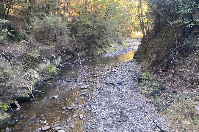 Rubicon Valley Horse Treks - 2 Hour River Trail Horse Trek - Is $91.47 good value for two hours?