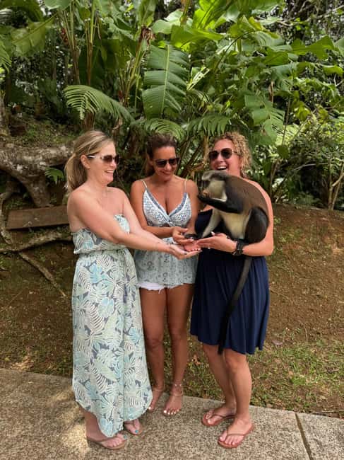 Saint George's: Grenada River Tubing & Waterfall island tour - What $150 buys you in practical terms
