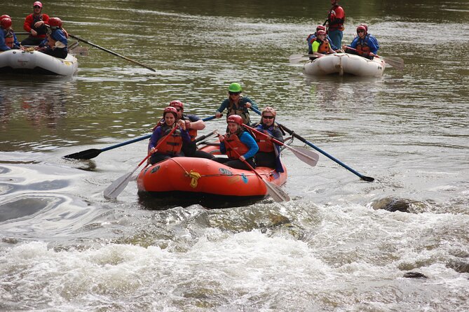 Salt River Half-Day Whitewater Rafting Adventure - The canyon setting adds more than scenery