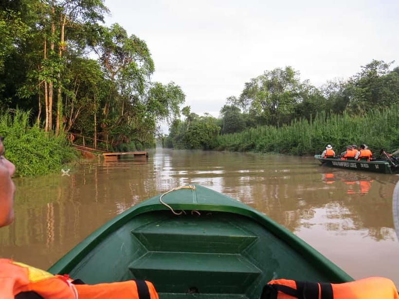Sandakan: 3D2N The Wild Heart of Borneo River Secrets - Key points to know before booking