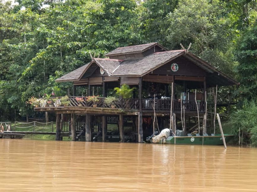 Sandakan: 3D2N The Wild Heart of Borneo River Secrets - Cruise one: your first look at Borneo wildlife