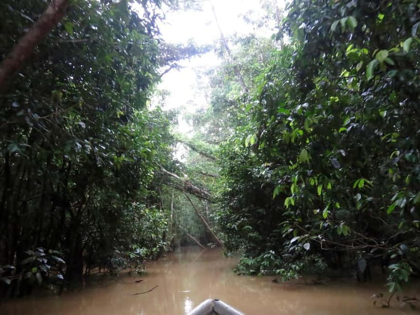 Sandakan: 3D2N The Wild Heart of Borneo River Secrets - Food, comfort, and the small-group setup