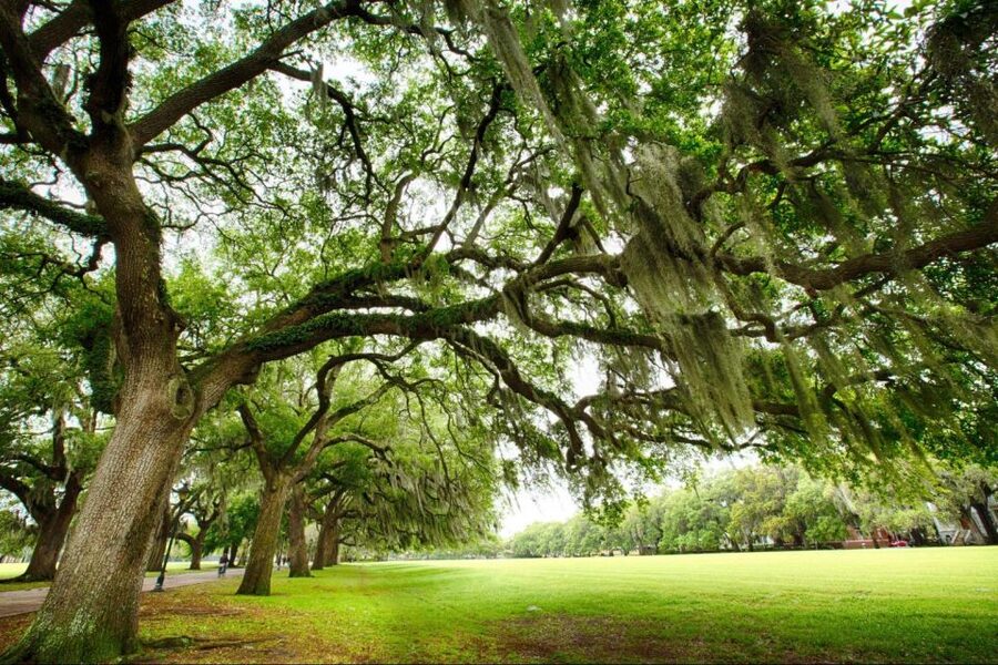 Savannah: Riverboat Cruise & City Tour Combo - Finding the best views on the boat