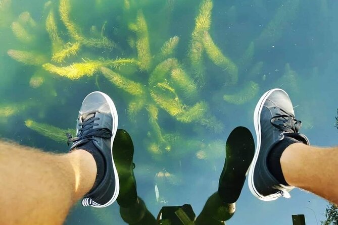 See through kayaks on Gacka river - Underwater plants, trout, and birds