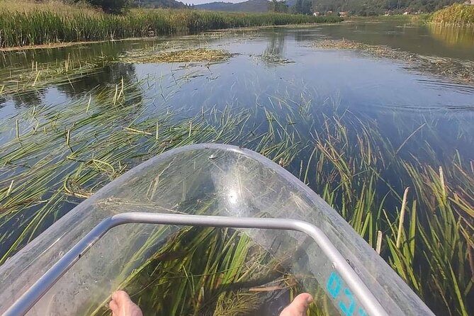 See through kayaks on Gacka river - Who will enjoy this river trip most?