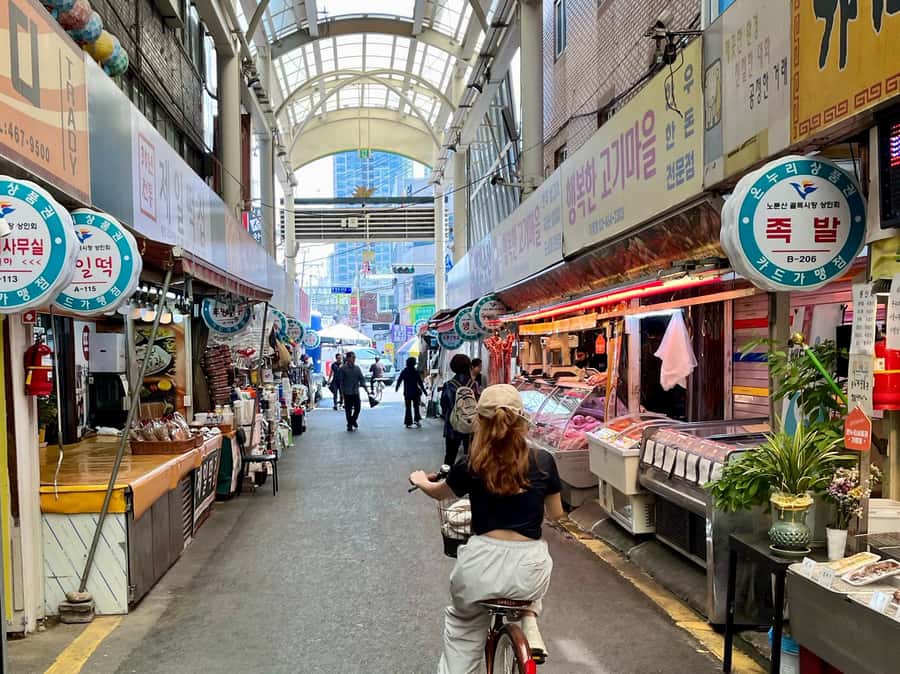 Seoul: Urban Nature Bike Tour along Han River - Who should book this Seoul cycling experience?