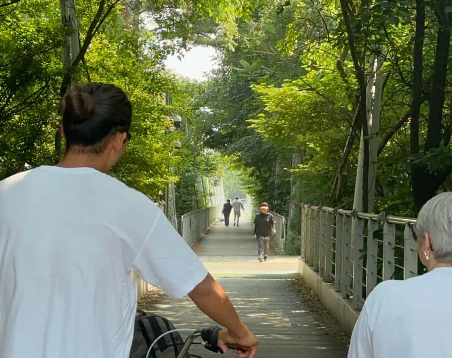 Seoul: Urban Nature Bike Tour along Han River - Why this bike tour gives you a different Seoul
