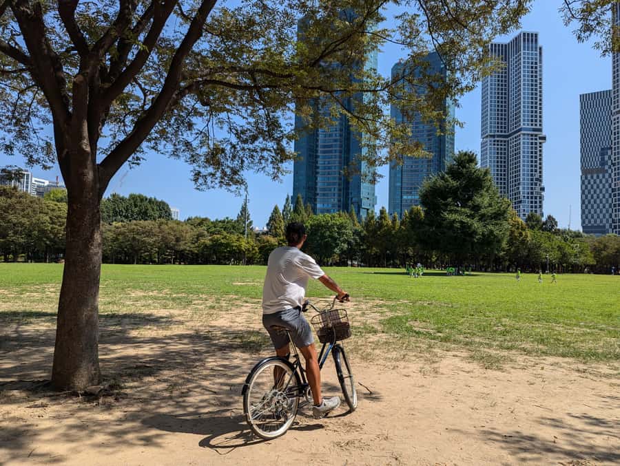 Seoul: Urban Nature Bike Tour along Han River - Weather, timing, and what to bring