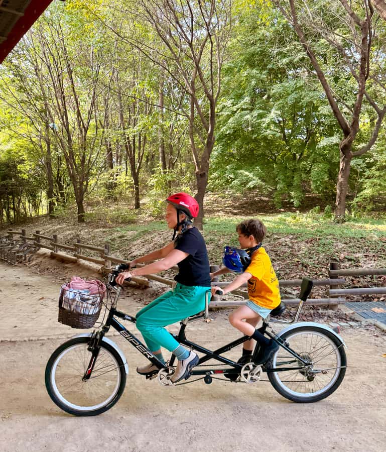 Seoul: Urban Nature Bike Tour along Han River - Starting at Jayang Station and Ttukseom Han River Park