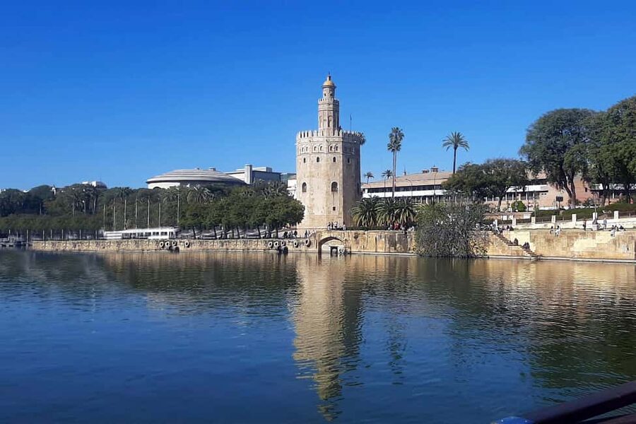 Seville: Restaurant boat ride on the Guadalquivir River with lunch/dinner - Service and language considerations