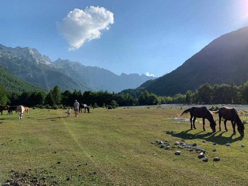 Shkoder: Transfers to Valbona/Theth/Shala River. Both ways. - Who will get the most from this route?