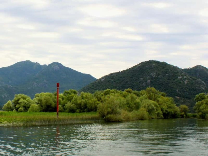 Short Skadar Lake Boat Tour to Morača River with Drinks - What this short Lake Skadar tour is really like