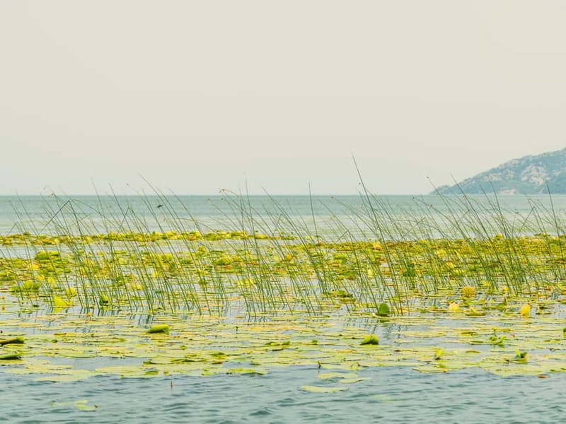 Short Skadar Lake Boat Tour to Morača River with Drinks - What the $20 price includes
