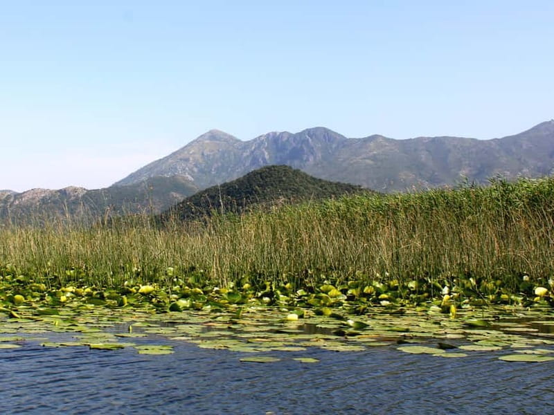 Short Skadar Lake Boat Tour to Morača River with Drinks - Who will enjoy this boat tour most
