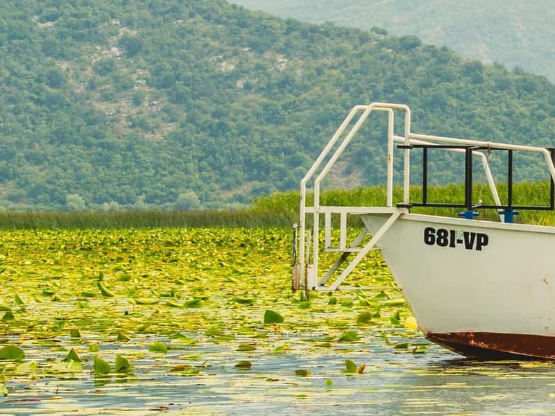 Short Skadar Lake Boat Tour to Morača River with Drinks - Practical advice before leaving Virpazar