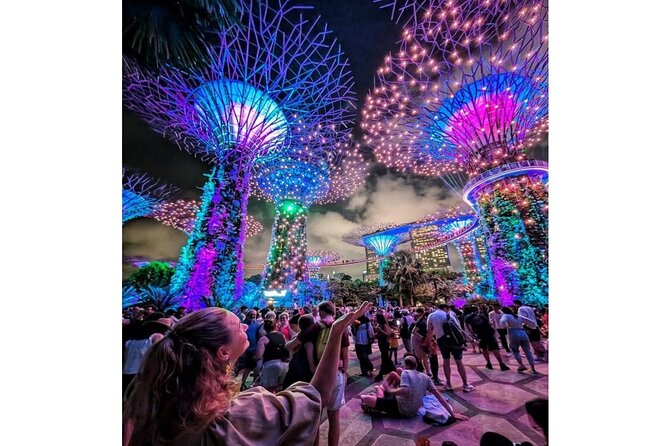 Singapore River Cruise and 2 Must-see Water Light Shows - The evening at a glance