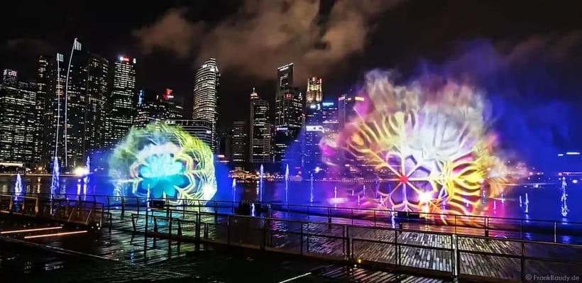 Singapore River Cruise, Garden Rhapsody & Spectra by CYT - Garden Rhapsody beneath the Supertrees