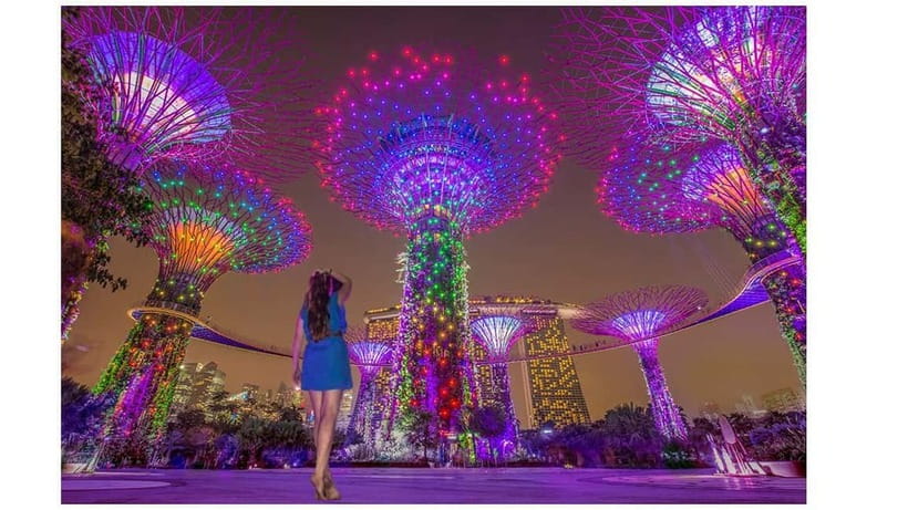 Singapore River Cruise, Spectra & Garden Rhapsody Light Show - Key points at a glance