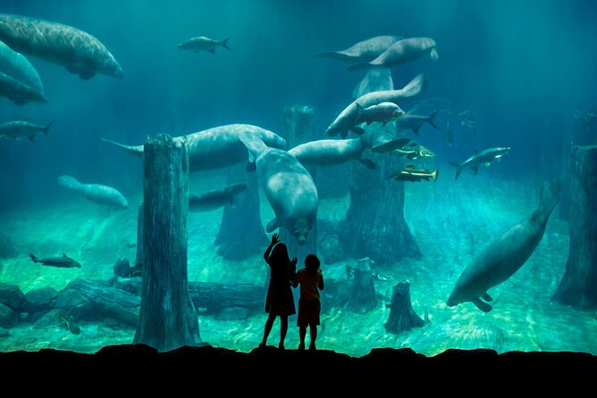 Singapore: River Wonders Entry Ticket - The boat ride needs careful planning