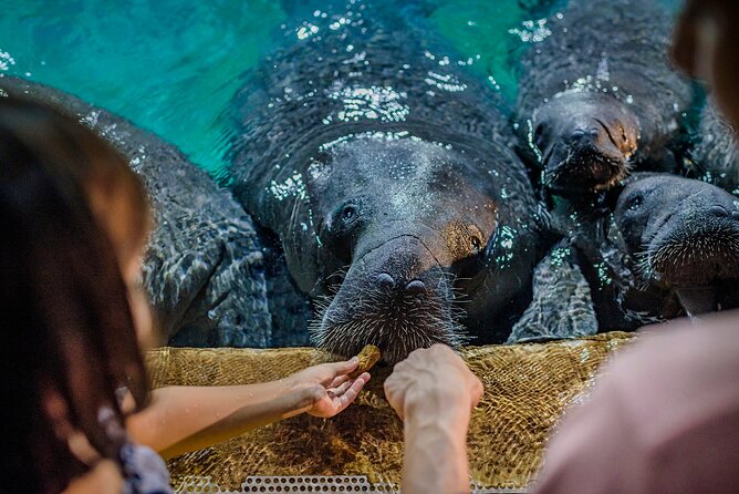 Singapore: River Wonders Entry Ticket - Timing, heat, and small rules that matter