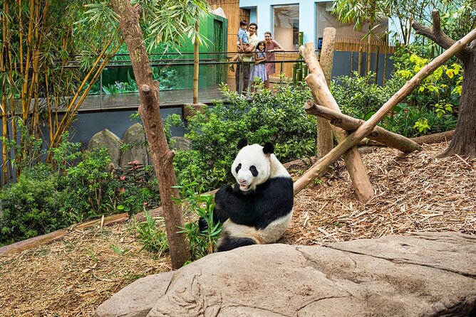 Singapore: River Wonders Entry Ticket - Amazon Flooded Forest brings the aquarium to life