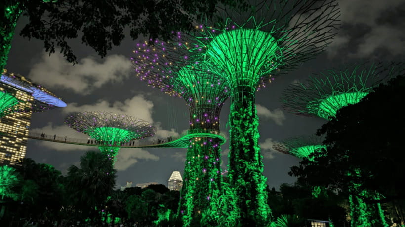 Singapore: Sunset River Cruise and Glittering Light Shows - Who should book this experience