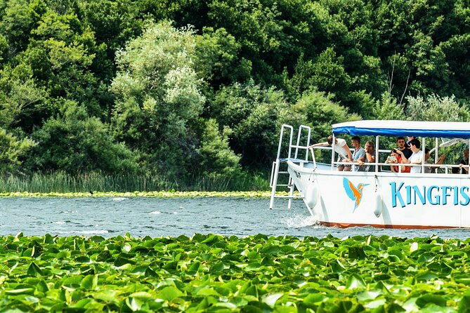 Skadar Lake & Crnojevića River: Swimming, Snacks & Wine - Kamenik and the first taste of Montenegro