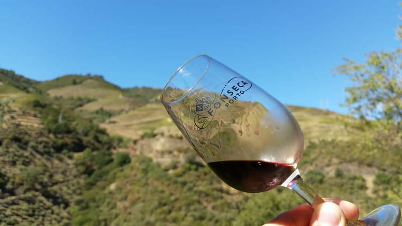 Small Group: Douro Valley Wine Tasting from Porto - Should you book this Douro Valley tour?