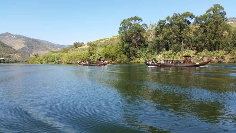Small Group: Douro Valley Wine Tasting from Porto - Pinhão, Port wine, and the river cruise