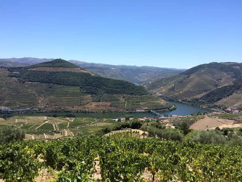 Small Group: Douro Valley Wine Tasting from Porto - Vilarinho de São Romão and the family farm
