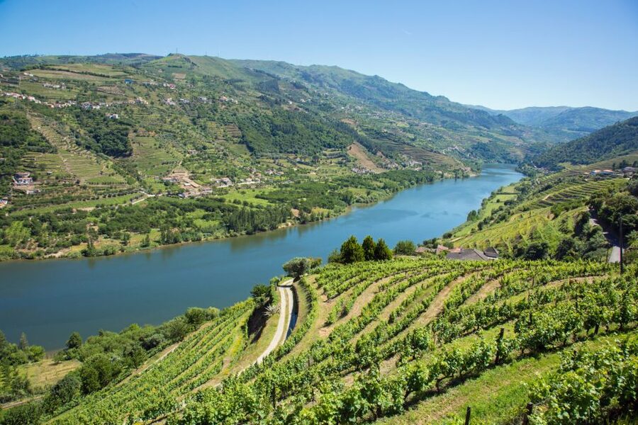 Small Group: Douro Valley Wine Tasting from Porto - Who should book this experience?