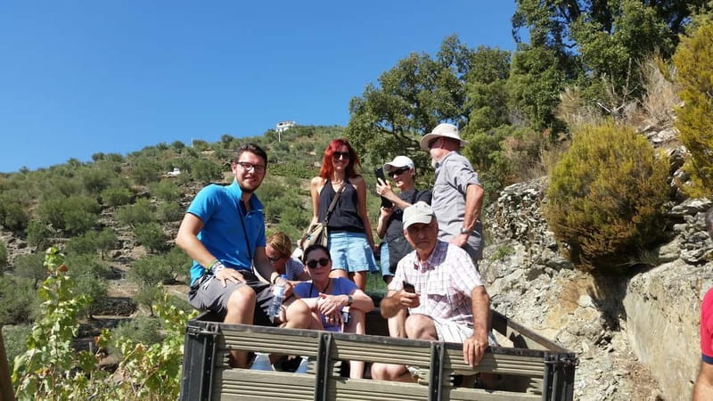 Small Group: Douro Valley Wine Tasting from Porto - The drive from Porto to Peso da Régua