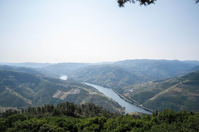 Small Group Douro Valley Wine Tour with Lunch and Cruise - The ride back to Porto