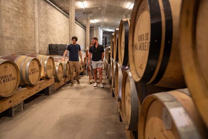 Small Group Douro Valley Wine Tour with Lunch and Cruise - What the guides add to the day