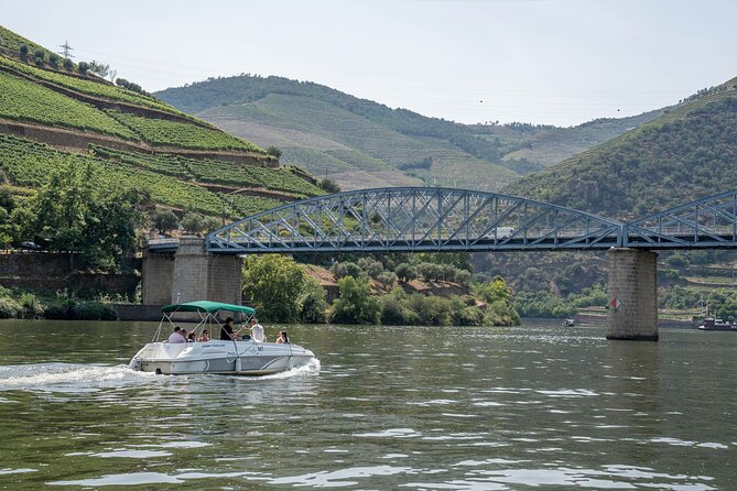 Small Group Douro Valley Wine Tour with Lunch and Cruise - First estate: wine, cellars, and a proper Portuguese lunch