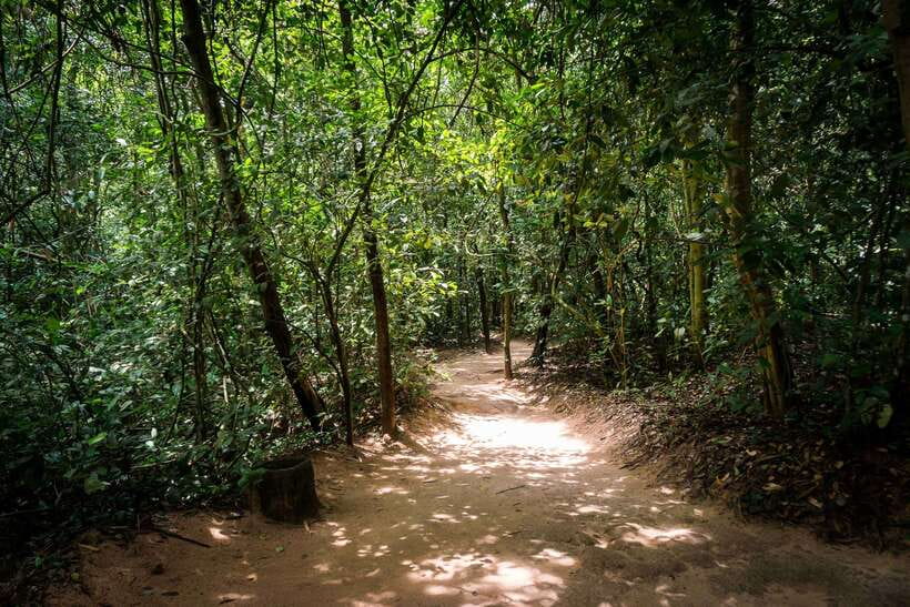 Small Group Full-Day Cu Chi Tunnels and Mekong Trip - Sampans, canals, bicycles, and folk music
