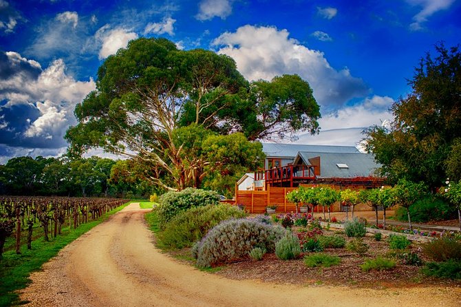 Small-Group River Murray Dark Sky and Sunset Tour with Dinner - What the $214.46 price really covers